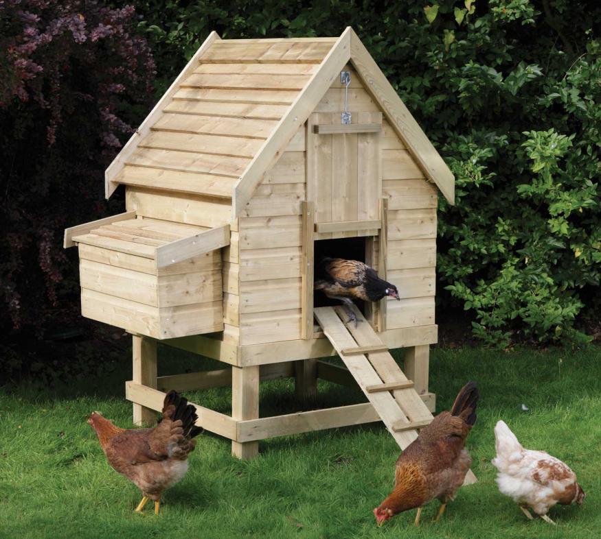 How To Build Your Own Chicken Coop And Save $$$ In Eggs Per Year